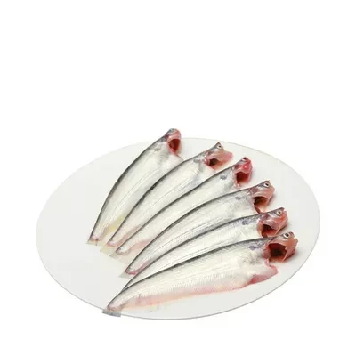 Pabda Fish Processed