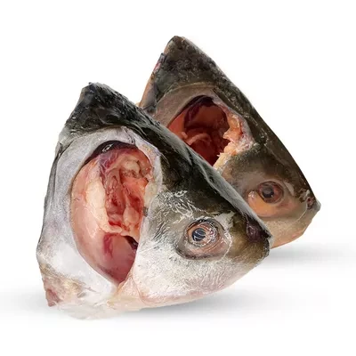 Rui Fish Head Medium