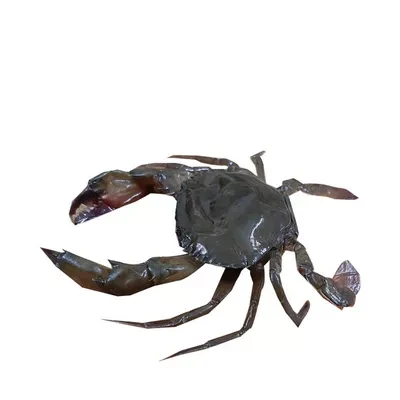 Whole Round Soft Shell Crab (Medium)