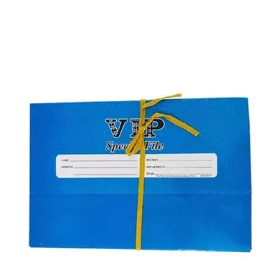 Court File (Blue)