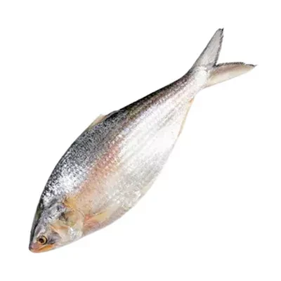 Whole Hilsha Fish (Asto Ilish) ±50 gm