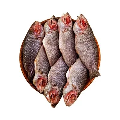 Premium Koi Fish Medium (7-9 pcs) ±30 gm