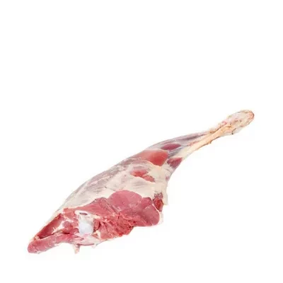 Chaldal Premium Beef Front Leg Bone in ± 50 gm