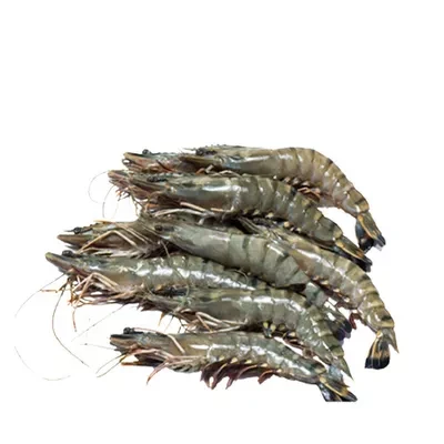 Bagda Chingri (Shrimp) 35-40 pcs ±30 gm