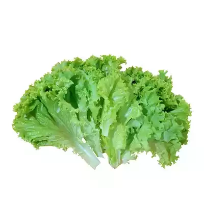 Lettuce Leaves ± 10 gm